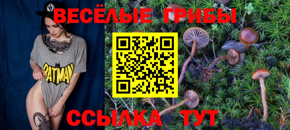 закладки  Вход с VPN  Мурманск  Псилоцибиновые грибы Cubensis  Псилоцибиновые грибы Psilocybe 